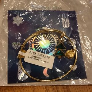 COPY - New Alex And Ani Bangle XMAS Tree